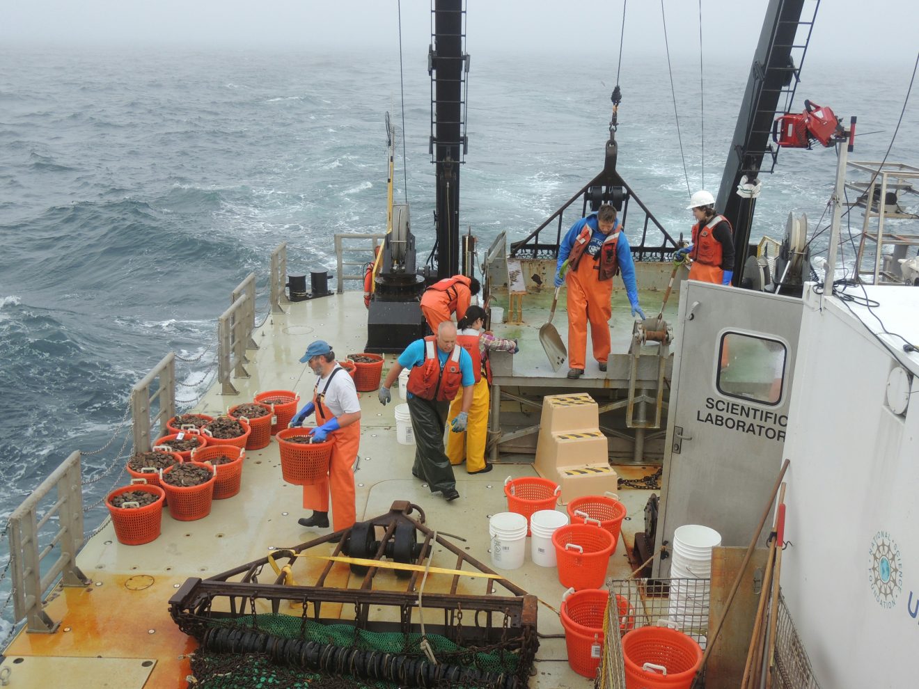 Marine and Marine Engineering